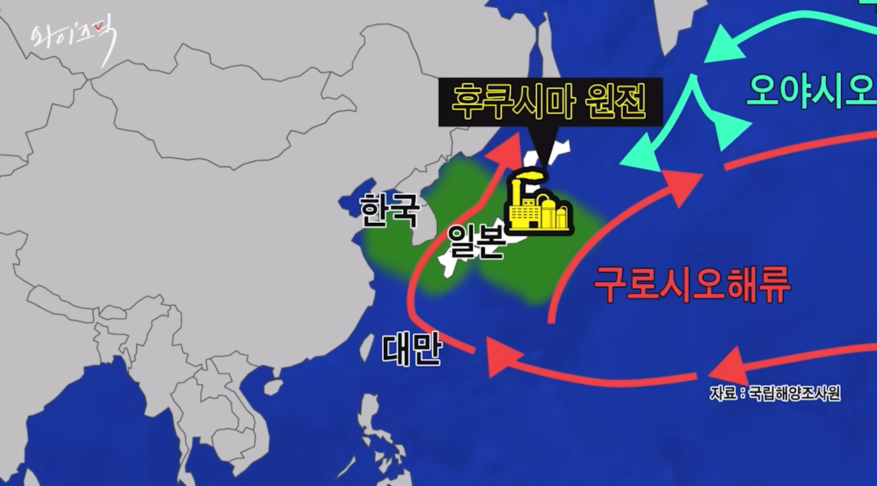 日 오염수 한국 도달 시기 왜 '제각각'?…구로시오 해류 '변수'