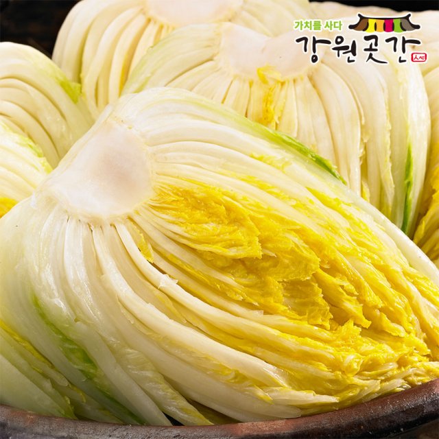 강원도 고랭지 절임배추