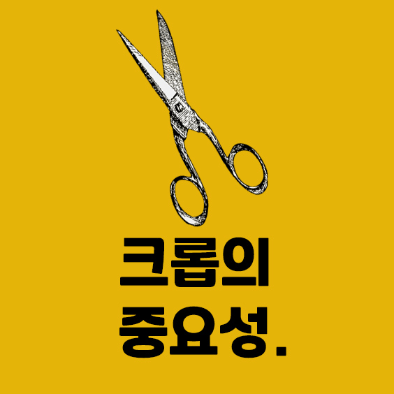  사진 잘 찍는 팁! 크롭의 중요성