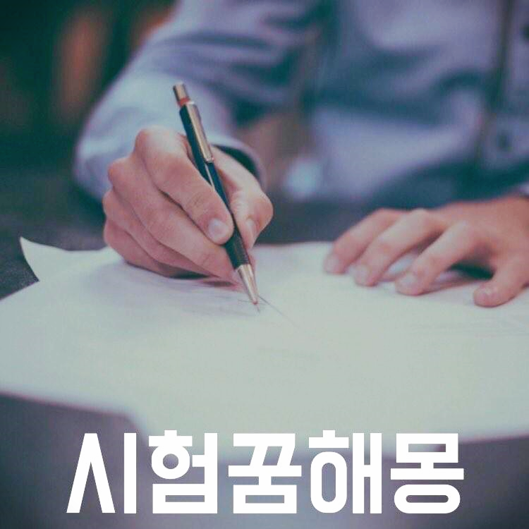 시험 꿈