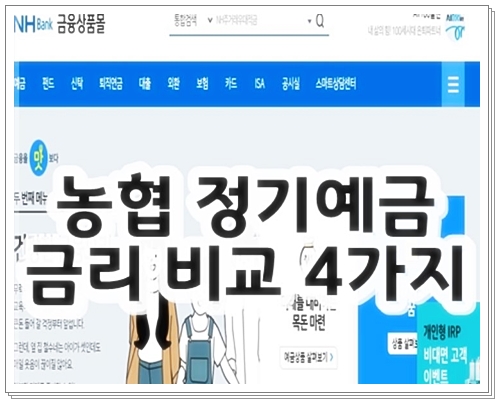 농협 정기예금 금리