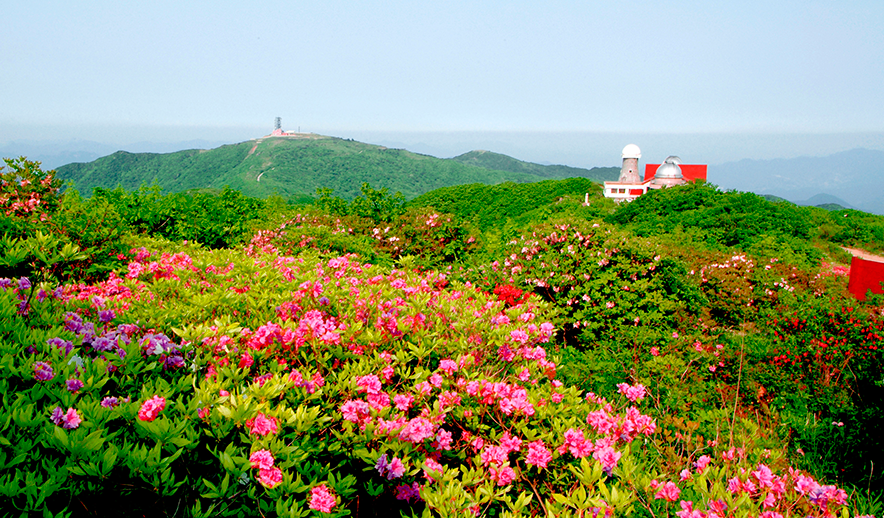  제 39회 단양소백산 철쭉제로 놀러오세요!