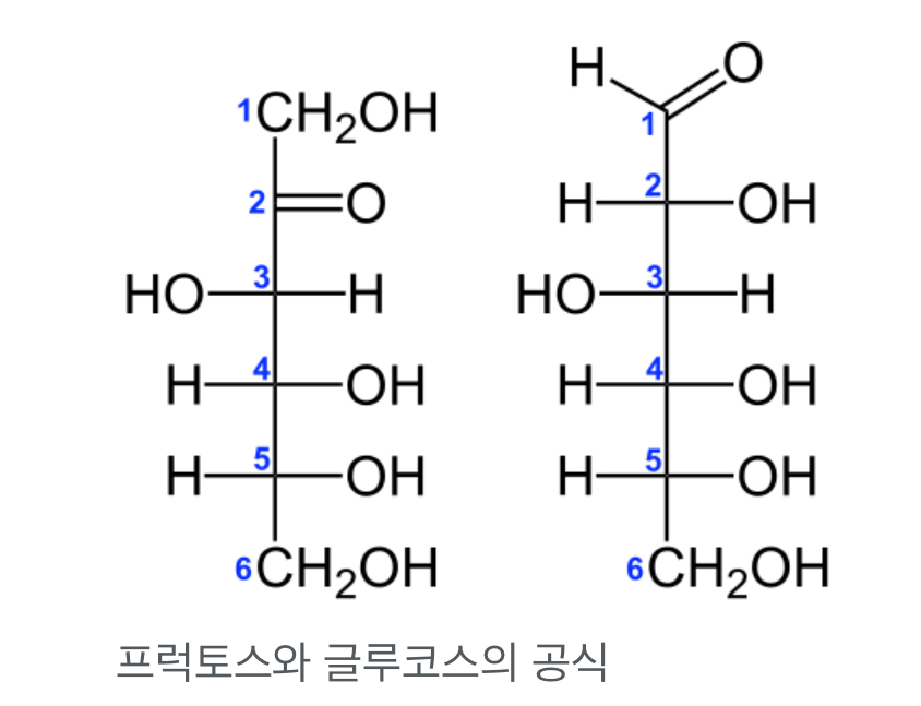 포도당과 과당의 화학 구조식