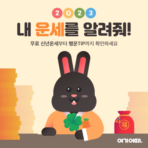  2023년 내 운세를 알려줘?