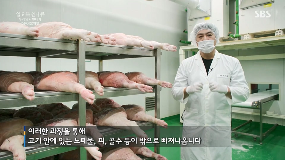 일요 특선 다큐멘터리.E315.230716p.H264-F1RST.mp4_20230717_210615.017.jpg