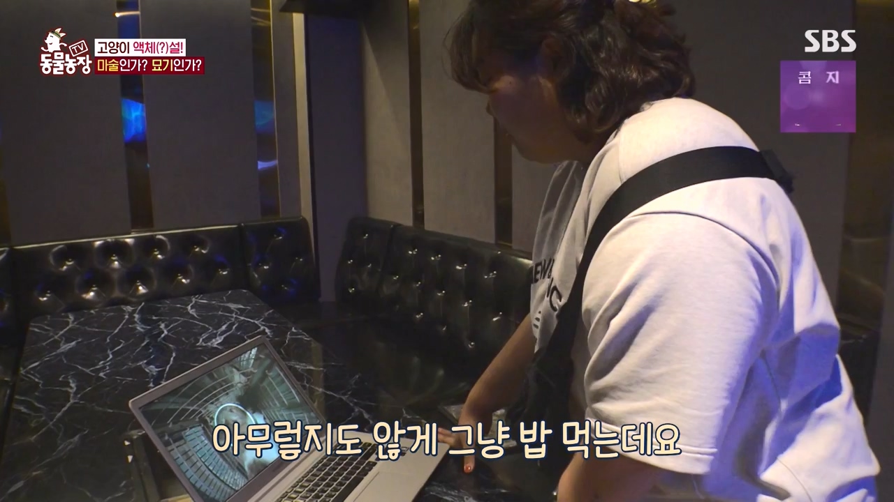 TV 동물농장.E1146.231120p-NEXT.mp4_20231119_175256.250.jpg