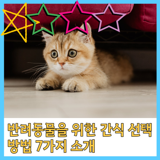 반려동물을 위한 간식 선택 방법 7가지 소개