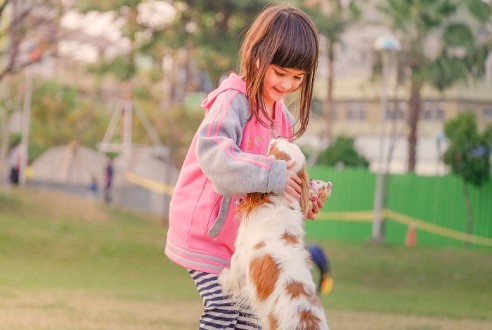 강아지와 함께 놀고있는 여자아이가 웃고있는 모습