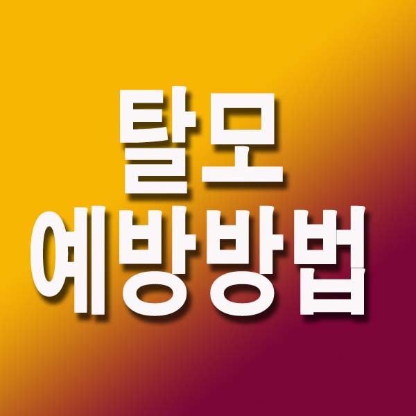  탈모 예방 방법 10가지