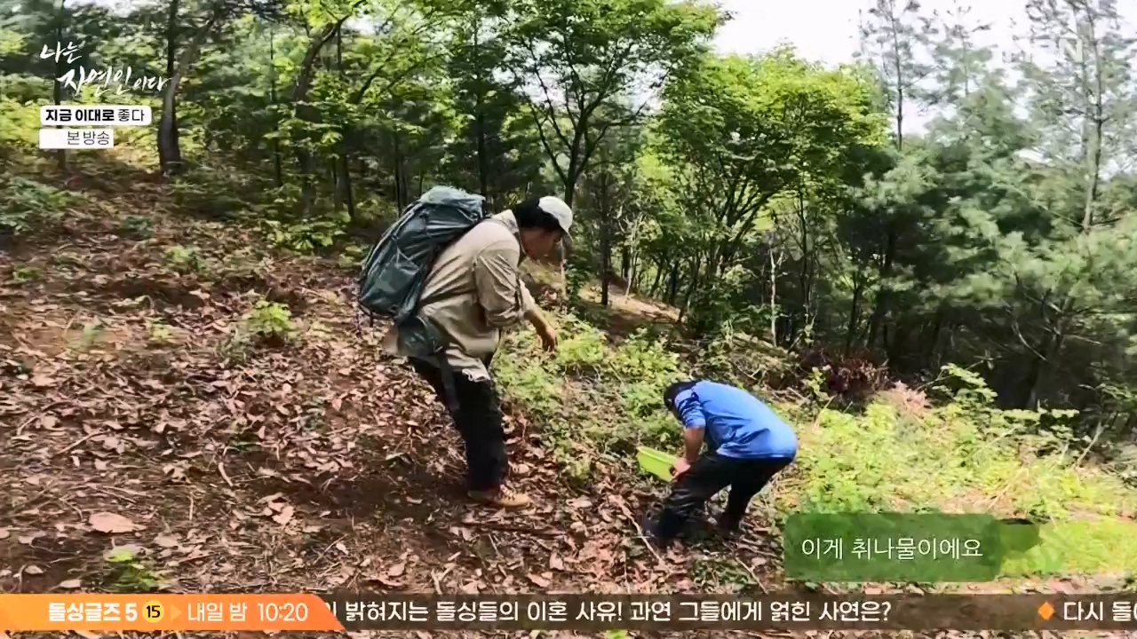 나는 자연인이다.E605.240516p-NEXT.mp4_20240516_194924.996.jpg