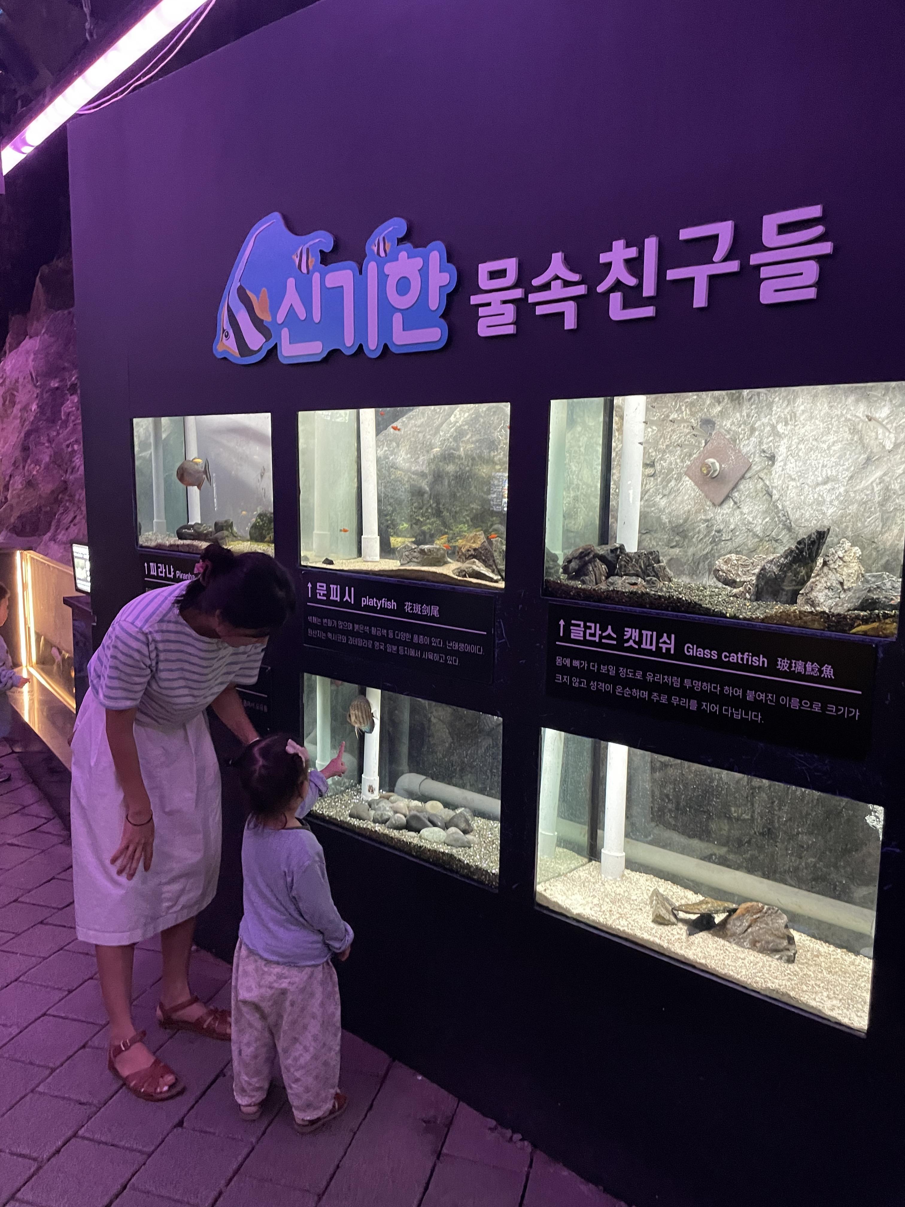 동굴 아쿠아리움