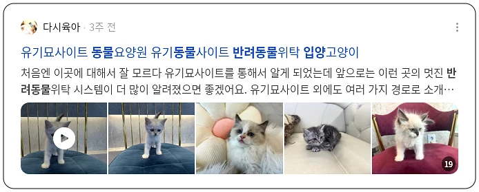 반려동물 입양_2_subsection