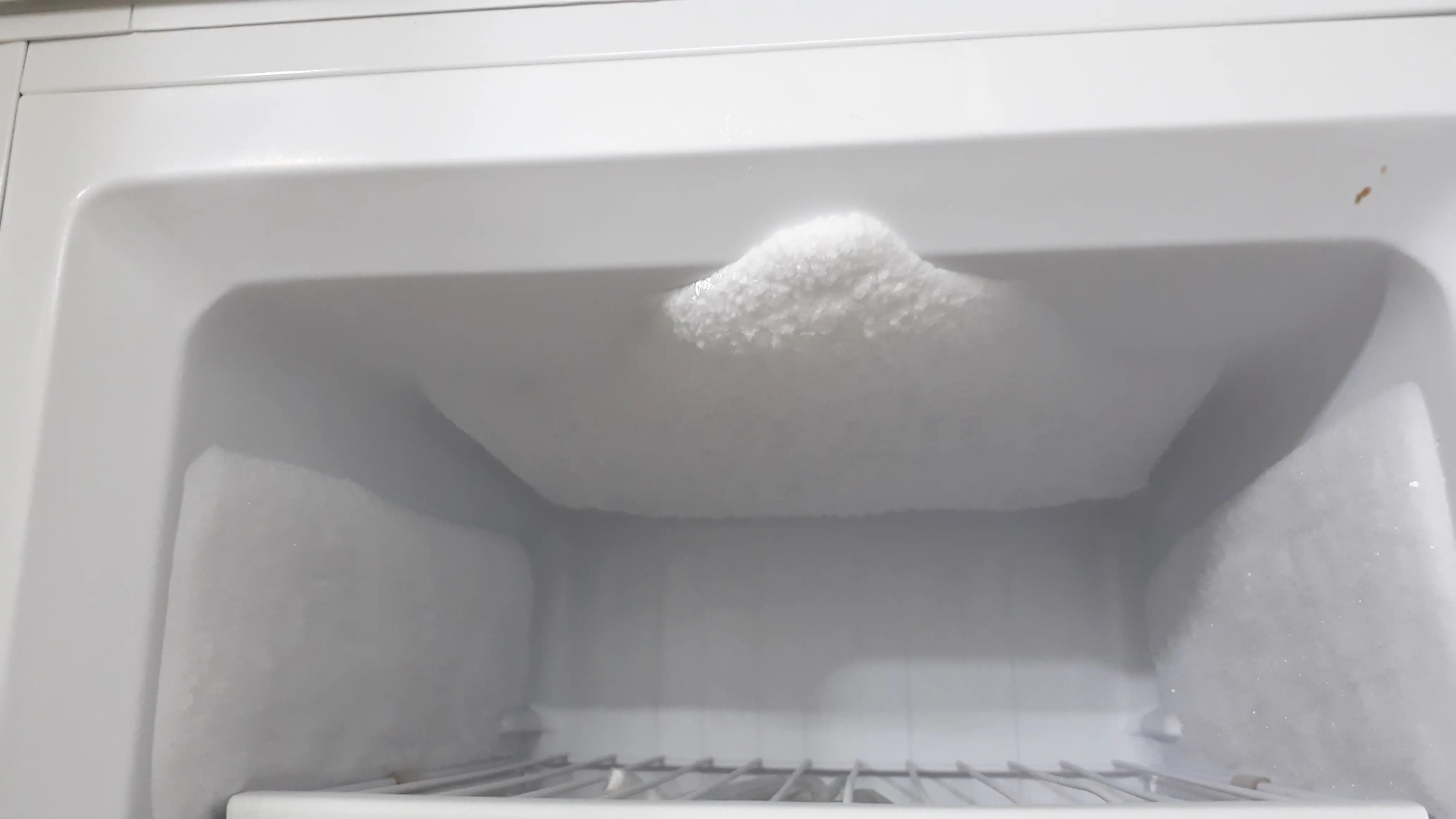 냉장고-냉동고-성