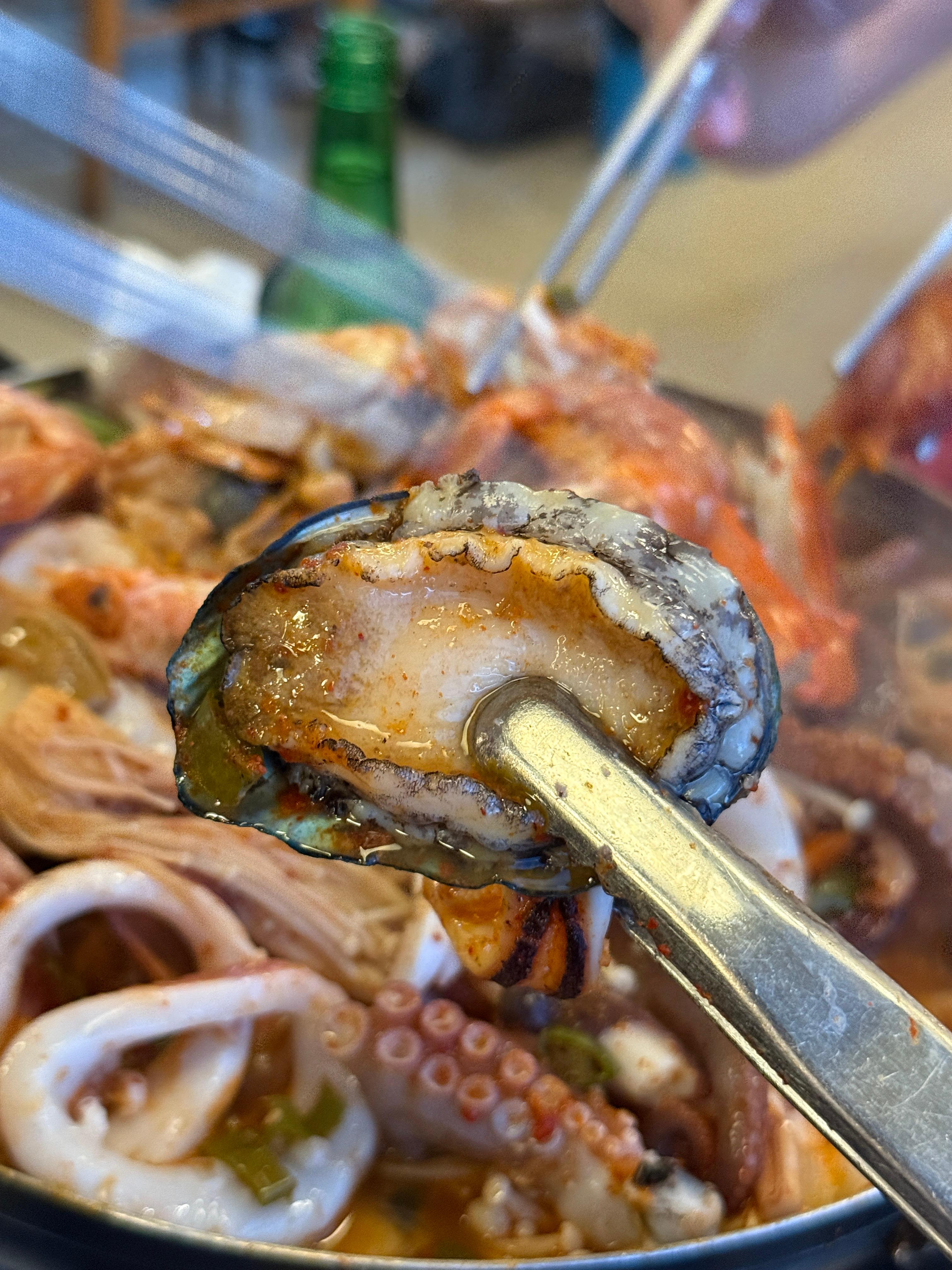 황소 사진 4