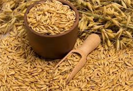  귀리(oat) 다이어트로 몸매 극대화! 효과적인 체중 감량법