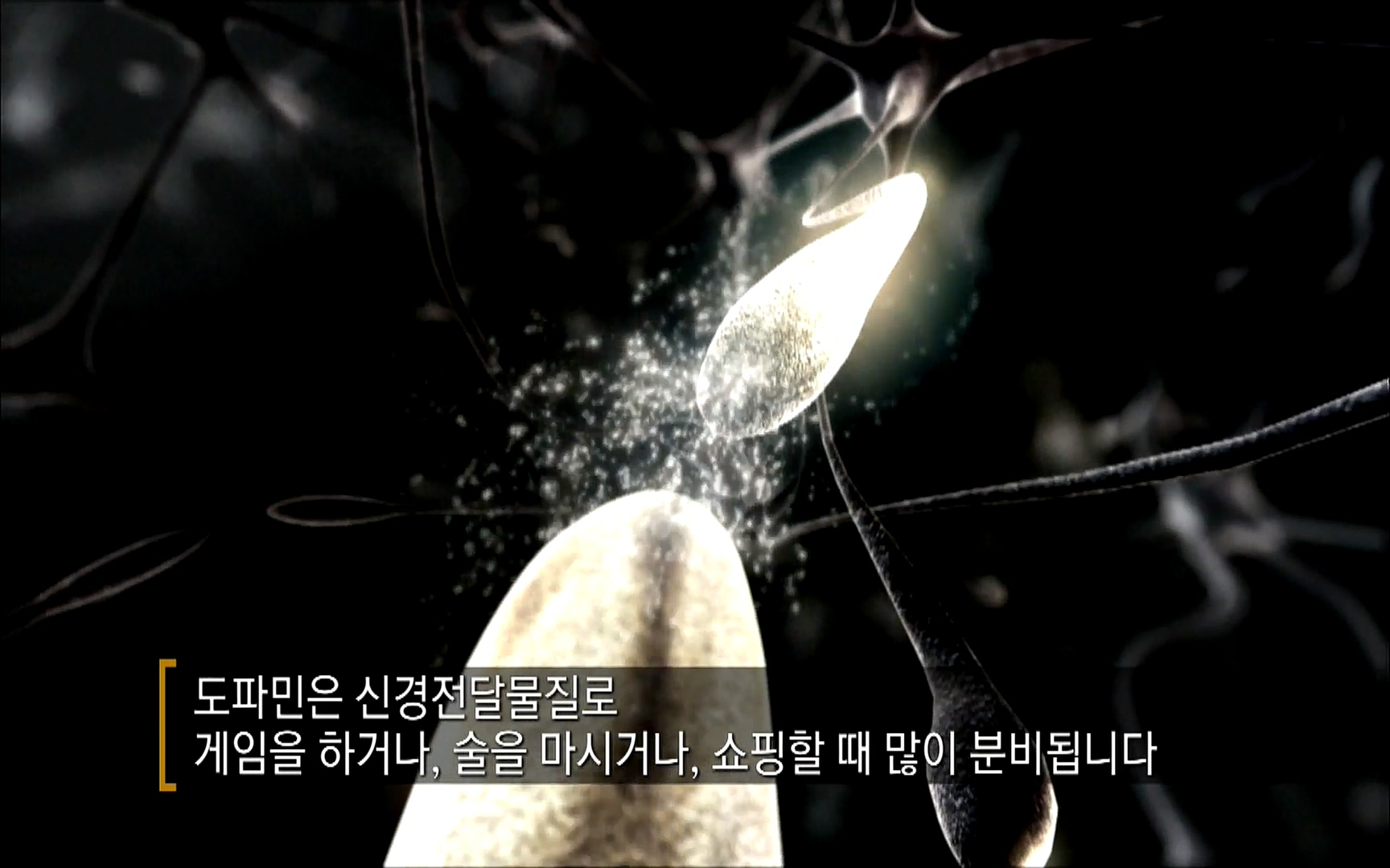 다큐 프라임 - TV - 교육의 중심 EBS자본주의 2부. 소비는 감정이다.mp4_20220512_194754.177.jpg