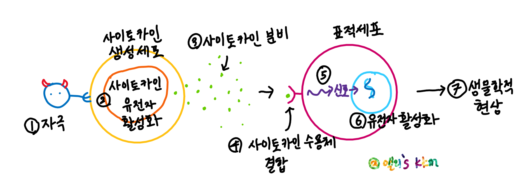  사이토카인 폭풍/사이토카인의 멘붕 유도