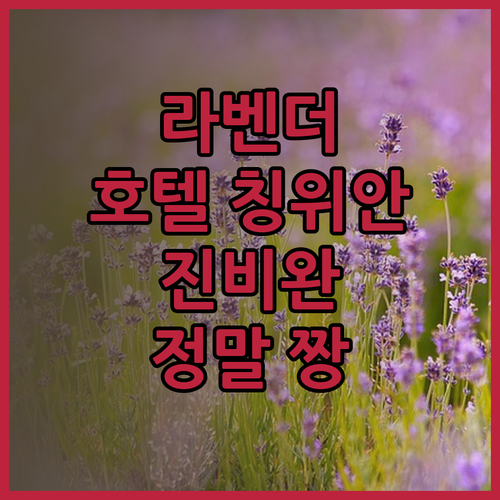 라벤더 호텔 칭위안 진비완 정말 짱인