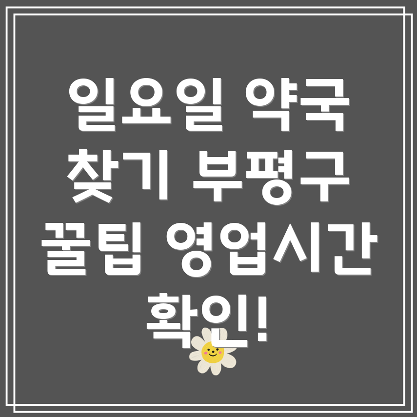 부평구 일요일 영업 약국