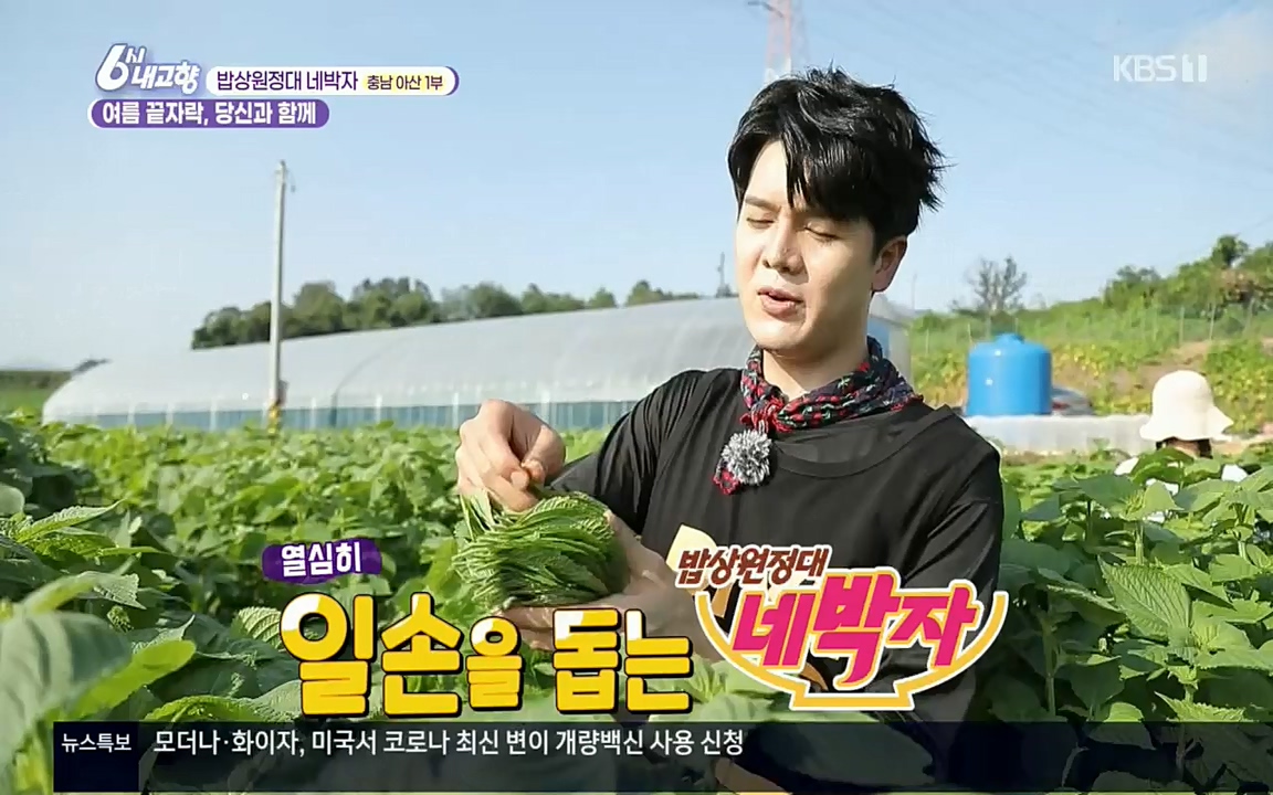 6시 내고향.E7608.220832p.H264-F1RST.mp4_20220901_204410.367.jpg