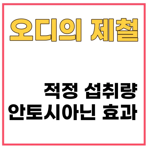 오디의제철_썸네일