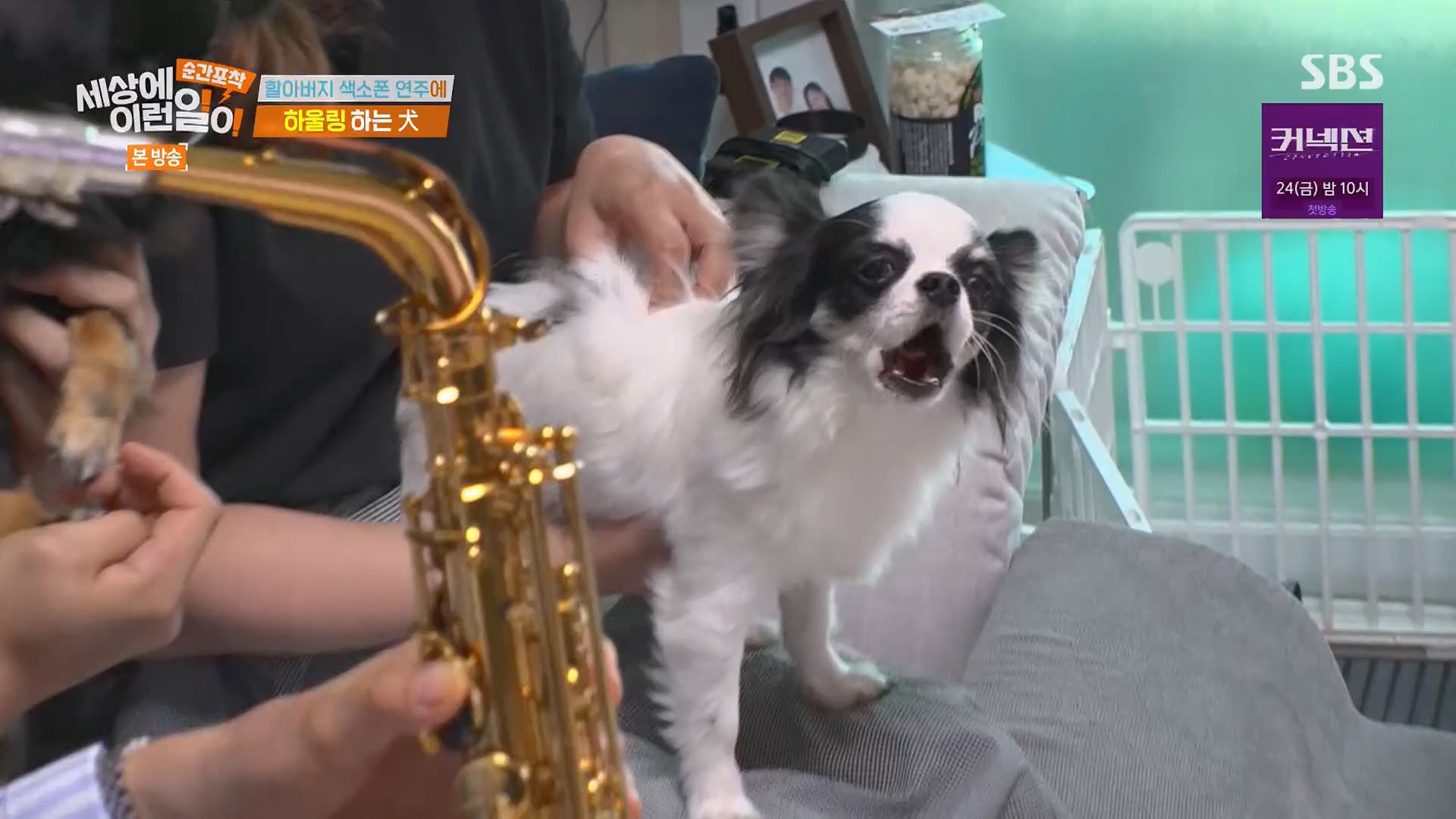 순간포착 세상에 이런일이.E1278.240518p.H264-F1RST.mp4_20240519_155529.549.jpg