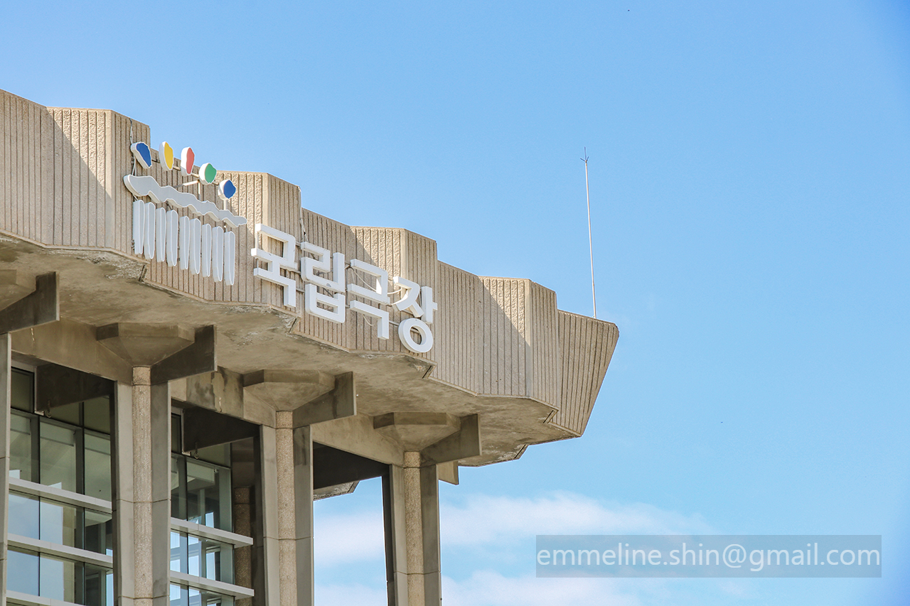 국립극장은 셔틀버스 타기도 좋고 공영주차장을 운영하고 있어서 주차하기도 편해서 추천드립니다.