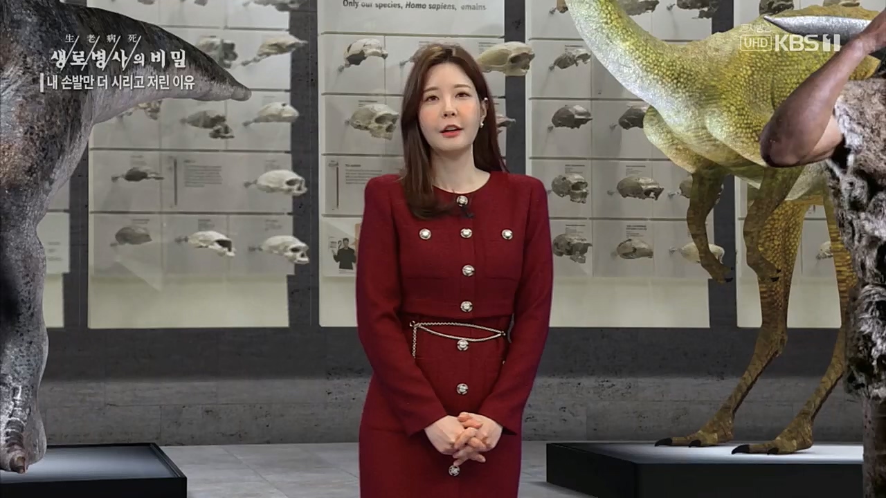 생로병사의 비밀.E847.221215p.H264-F1RST.mp4_20221215_202313.769.jpg