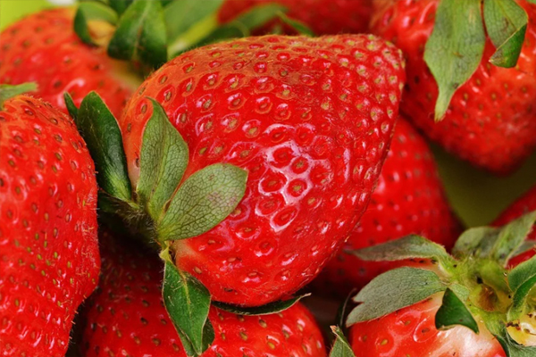 딸기 효능 - 면역력 증강2