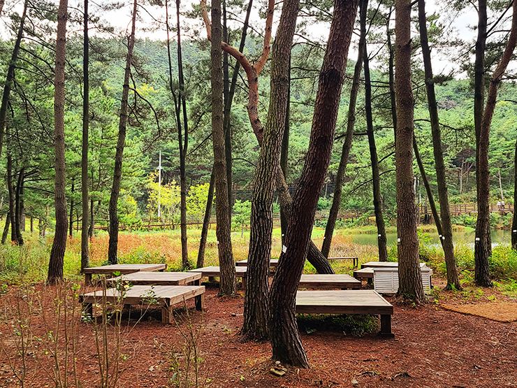 충남 걷기 좋은 숲길 국내여행 걷기 좋은 길, 3