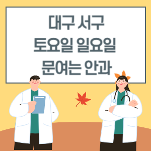 대구 서구 토요일 일요일 안과 진료 문여는 병원 리스트