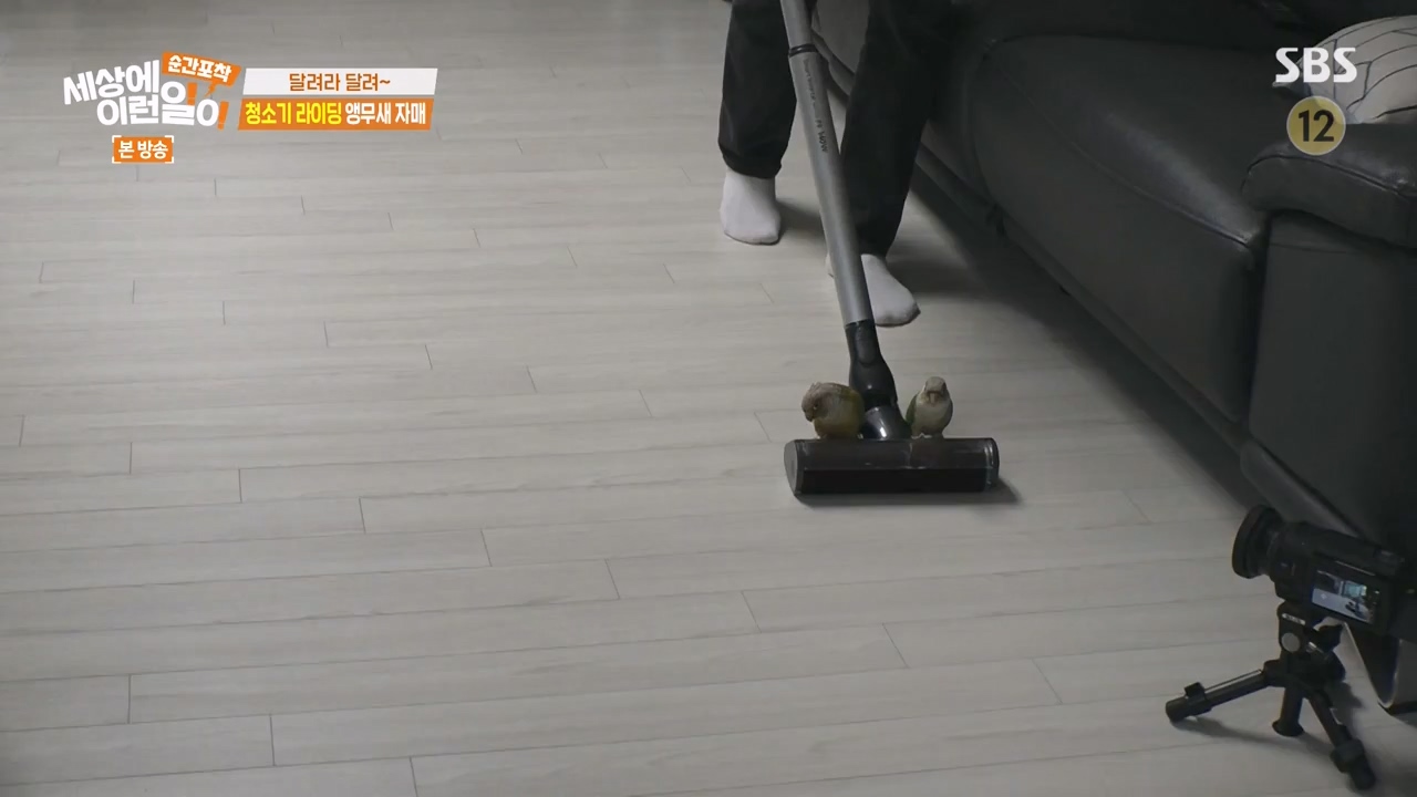 순간포착 세상에 이런일이.E1256.231217p-NEXT.mp4_20231217_175007.794.jpg