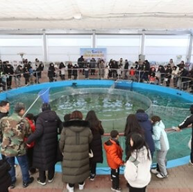 2025평창송어축제프로그램