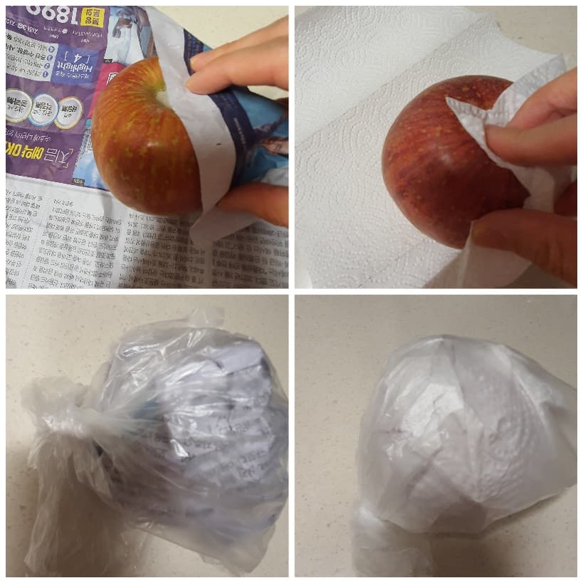  간단한 사과 보관법 배 보관법