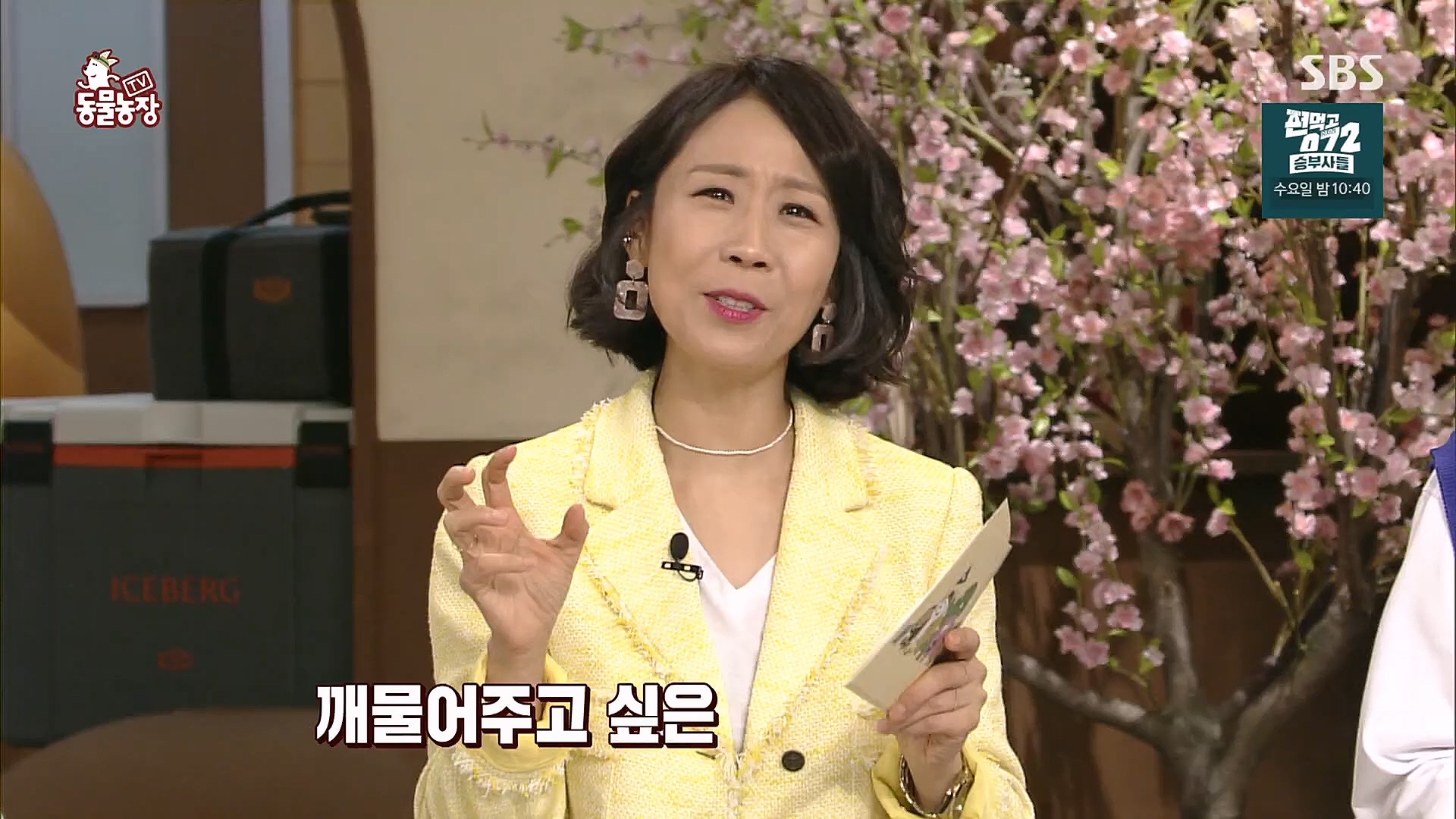 TV 동물농장.E1113.230326p.H264-F1RST.mp4_20230326_172524.414.jpg