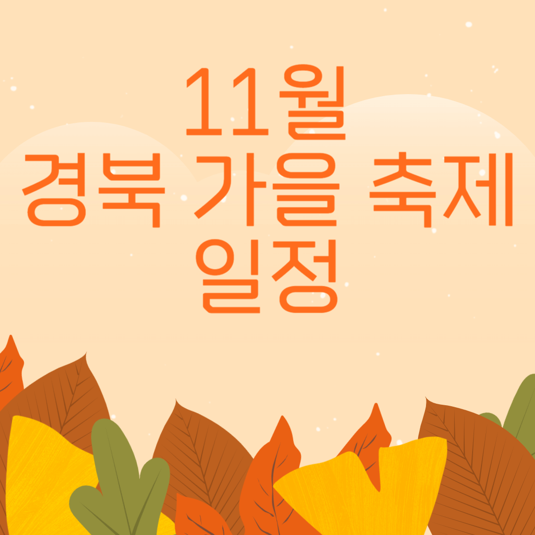 11월 경북가을축제