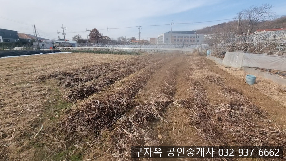 강화중학교 이미지