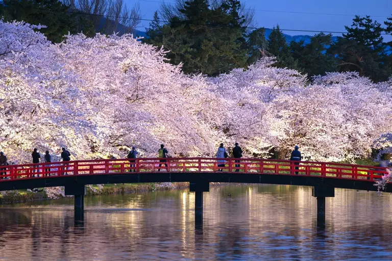 옛 해자에는 벚나무가 늘어서 있고&#44; 그 사이로 아름다운 다리가 놓여 있는 사진