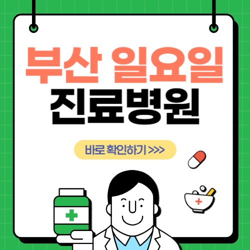  부산 일요일 진료 병원 찾아보기(공휴일 포함)