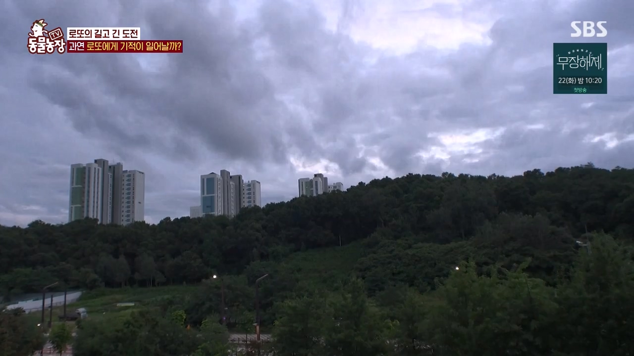 TV 동물농장.E1134.230821p-NEXT.mp4_20230820_193352.999.jpg