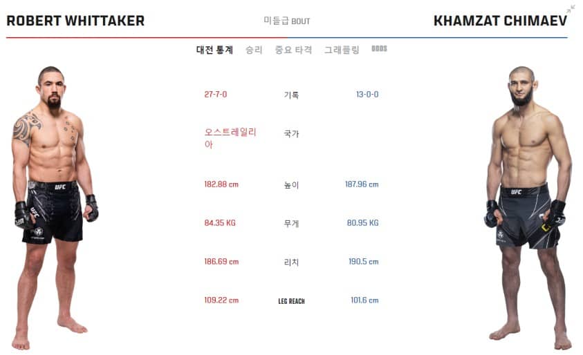 UFC 308 - 토푸리아 vs 할로웨이