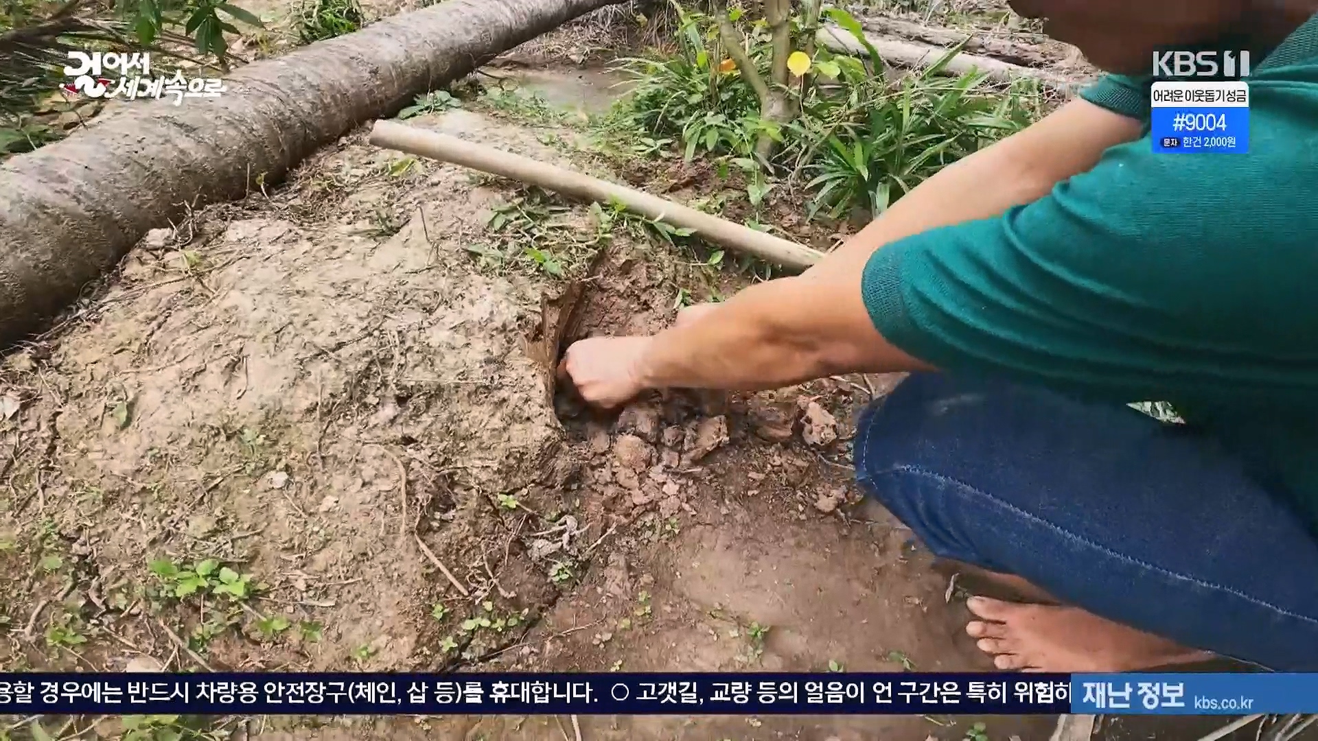 걸어서 세계속으로.E826.240120p.H264-F1RST.mp4_20240716_202142.134.jpg