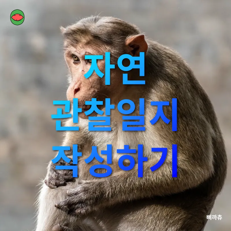 자연관찰_2