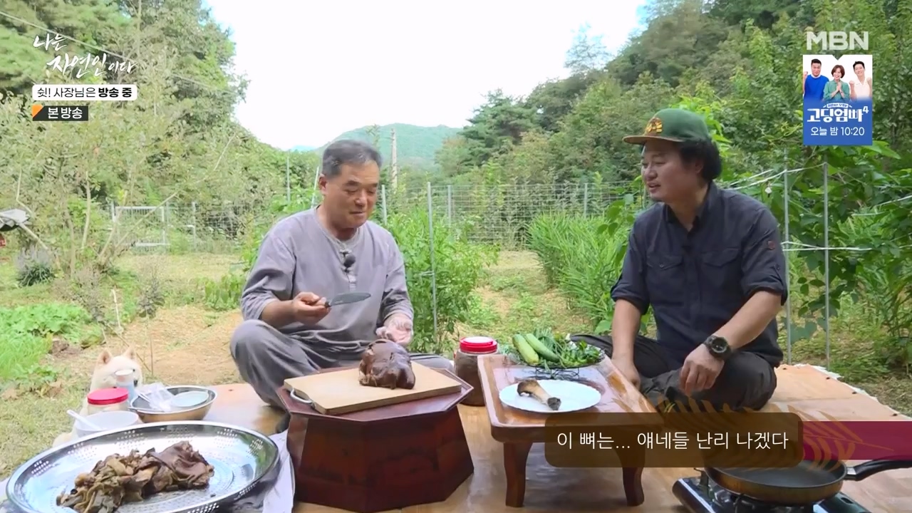 나는 자연인이다.E573.230928p-NEXT.mp4_20230929_174818.871.jpg