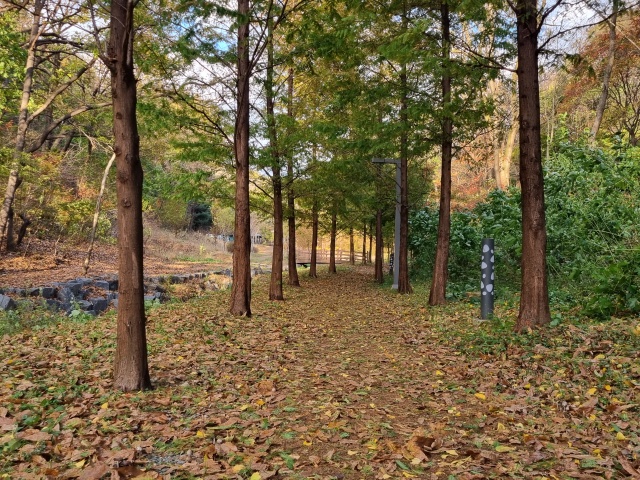 산책로