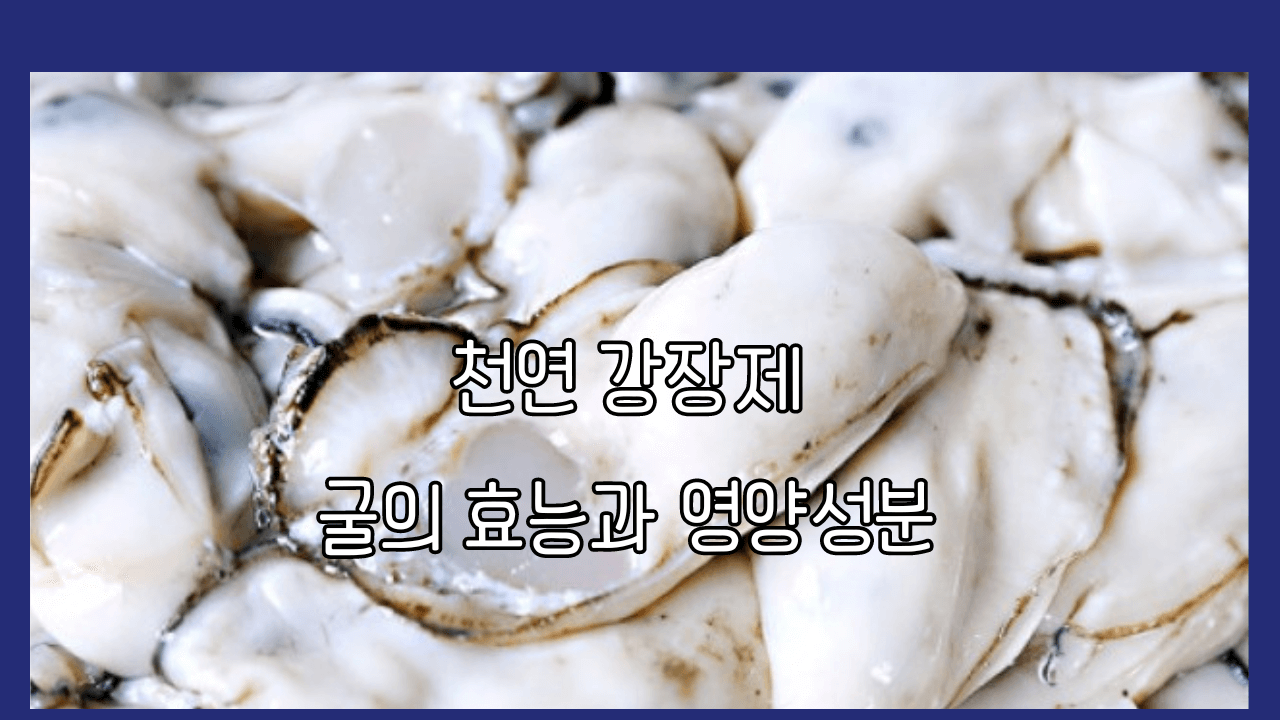 천연 강장제 굴의 효능과 영양 성분