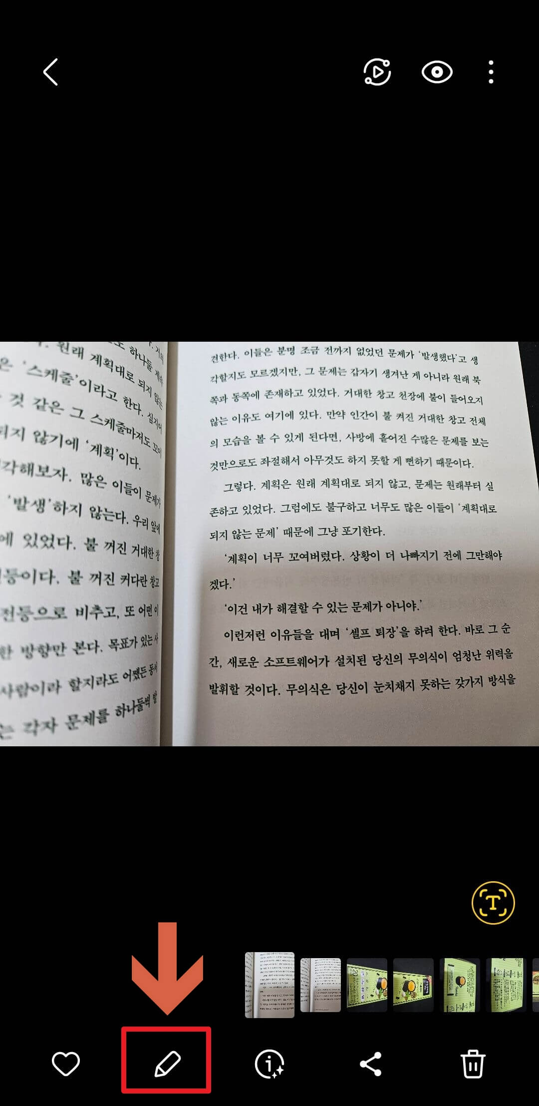 사진 설정