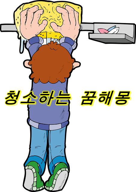  청소의 꿈의 의미는?  청소하는 장면을 보는 꿈 ·청소 장소에 관한 꿈 해몽