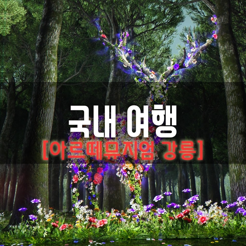  강릉 핫플! 아직도 안가봤어? 아르떼뮤지엄 강릉(ARTE MUSEUM) / 강릉가볼만한곳!