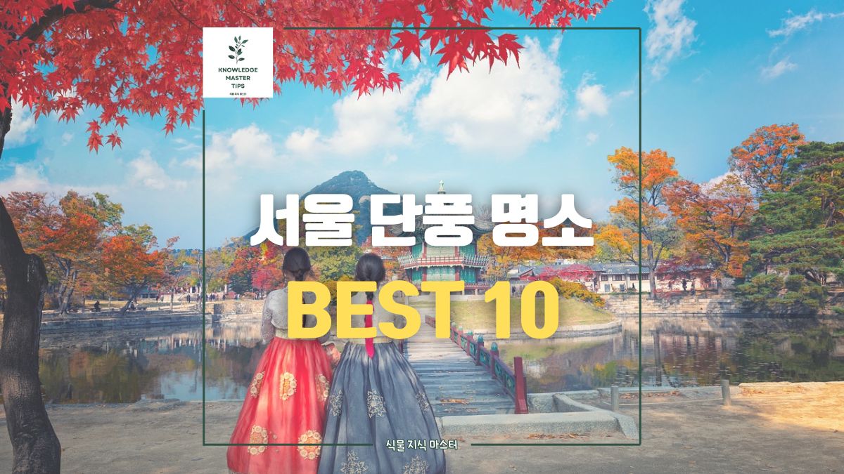 서울 단풍 명소 BEST 10 총정리, 올해 서울 단풍 시기는?